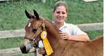 Equine